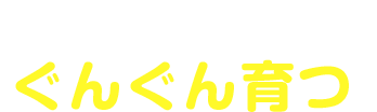 POINT 02